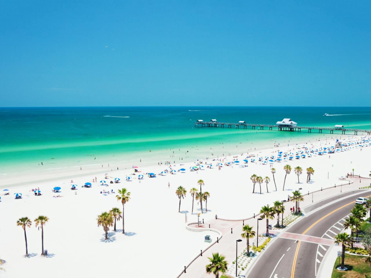 Florida florida